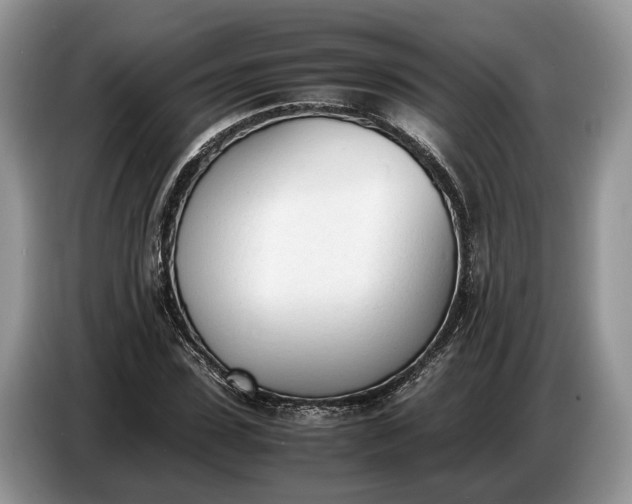 X0000086720923200704271607