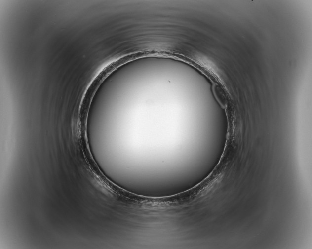 X0000086720924200704271607