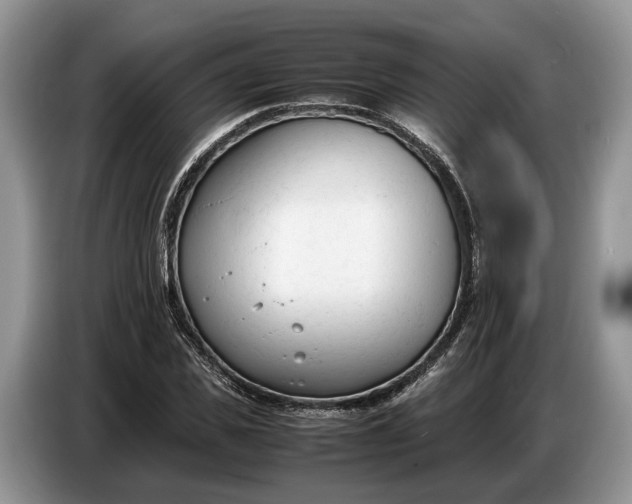 X0000086720925200704271607