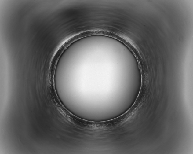 X0000086720927200704271607