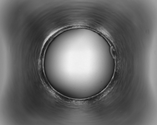 X0000086720928200704271607