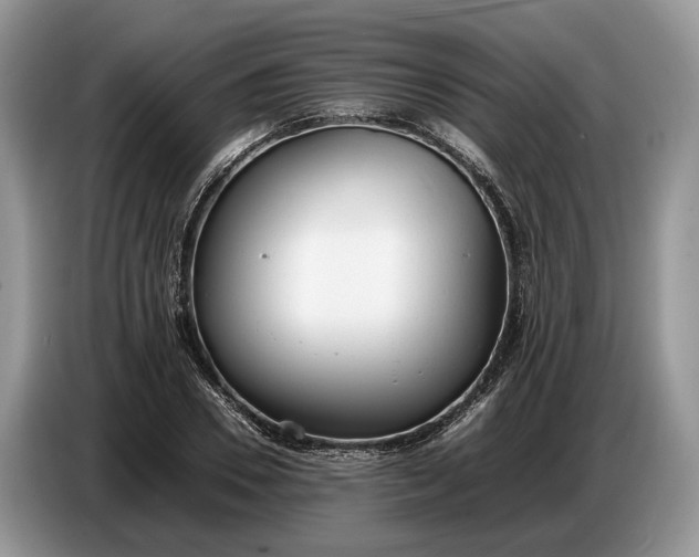 X0000086720930200704271608