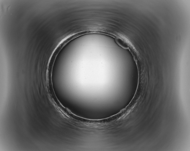 X0000086720932200704271608