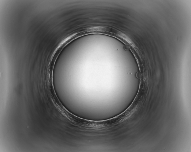 X0000086720933200704271608