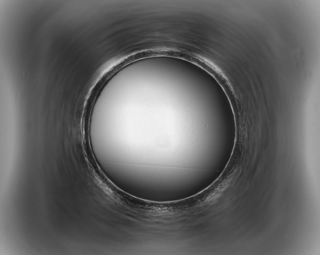 X0000086720935200704271608