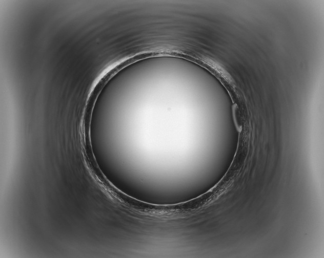 X0000086720936200704271608