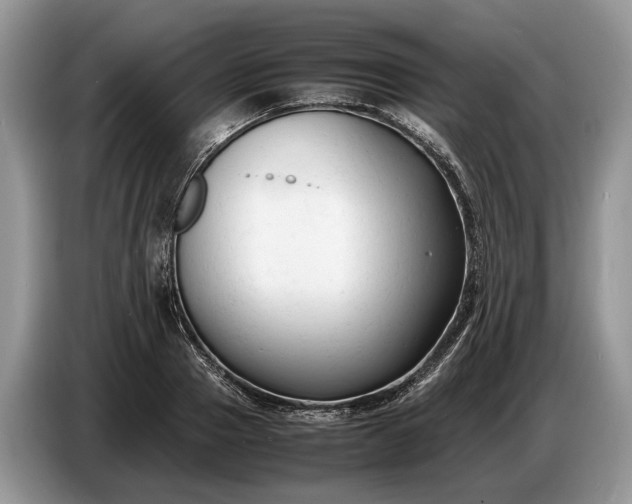 X0000086720937200704271608