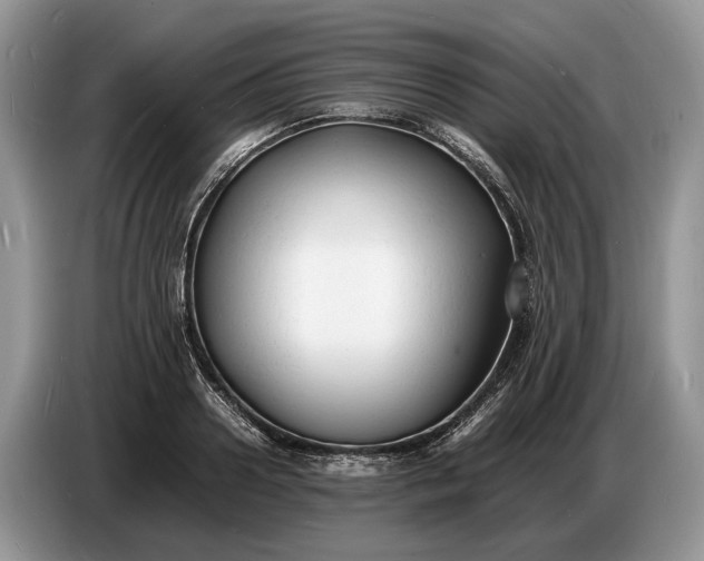 X0000086720938200704271608