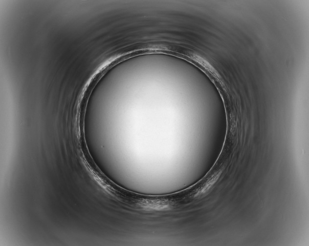 X0000086720939200704271608