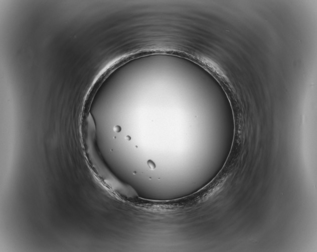 X0000086720942200704271608