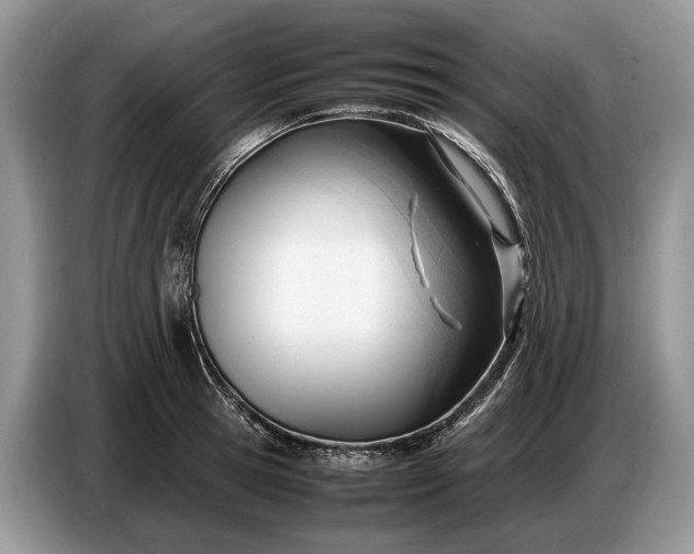 X0000086720945200704271608