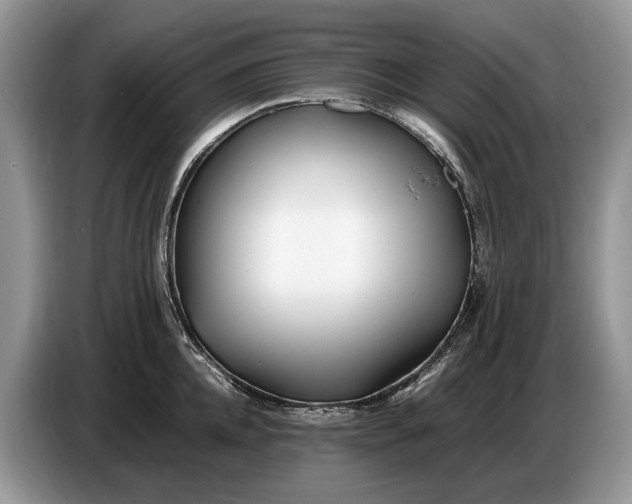 X0000086720952200704271608