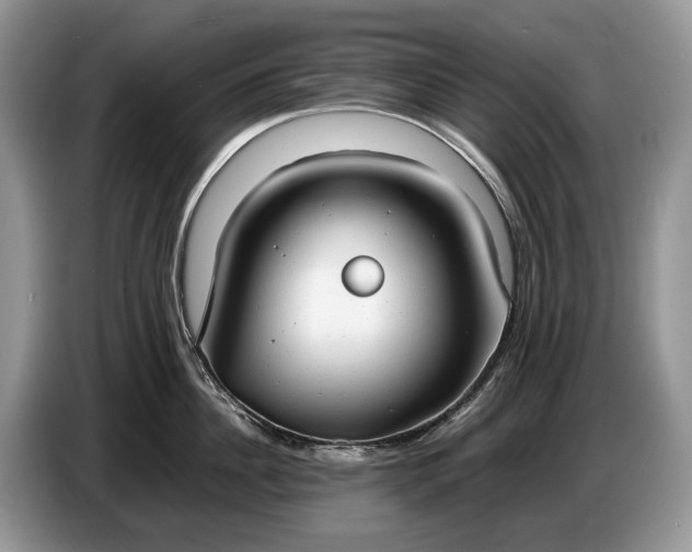 X0000086720956200704271608