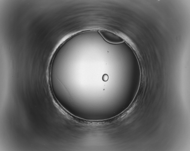 X0000086720958200704271608