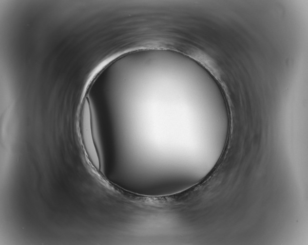 X0000086720960200704271608