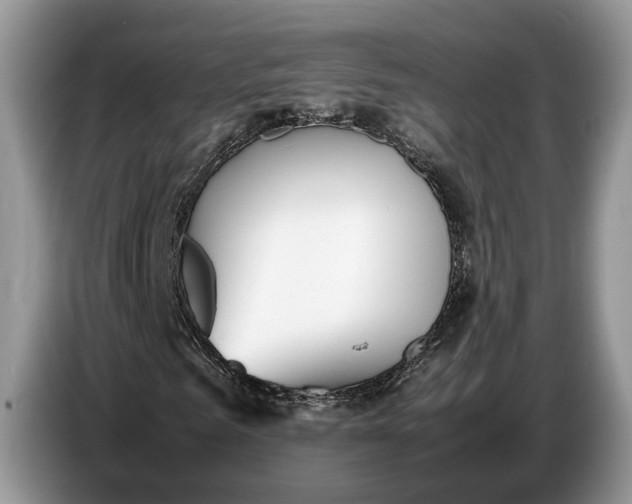 X0000086720961200704271607