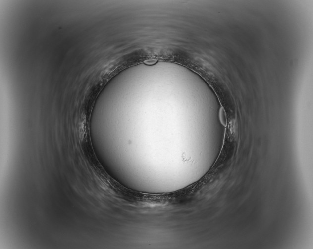 X0000086720963200704271607