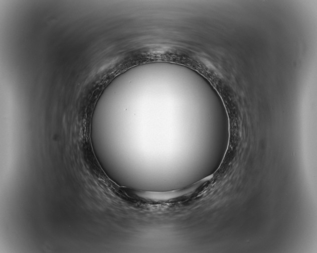 X0000086720965200704271607