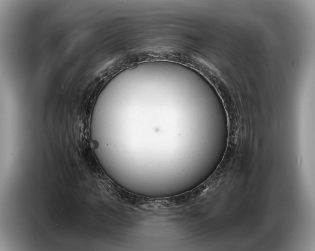 X0000086720966200704271607