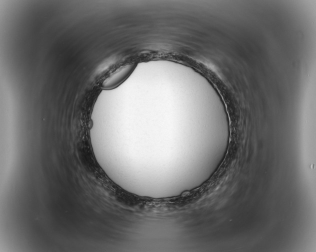 X0000086720967200704271607