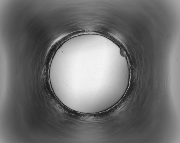 X0000086720971200704271607