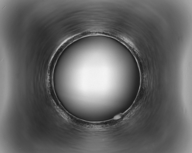 X0000086720976200704271607