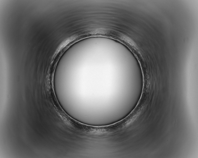 X0000086720978200704271607