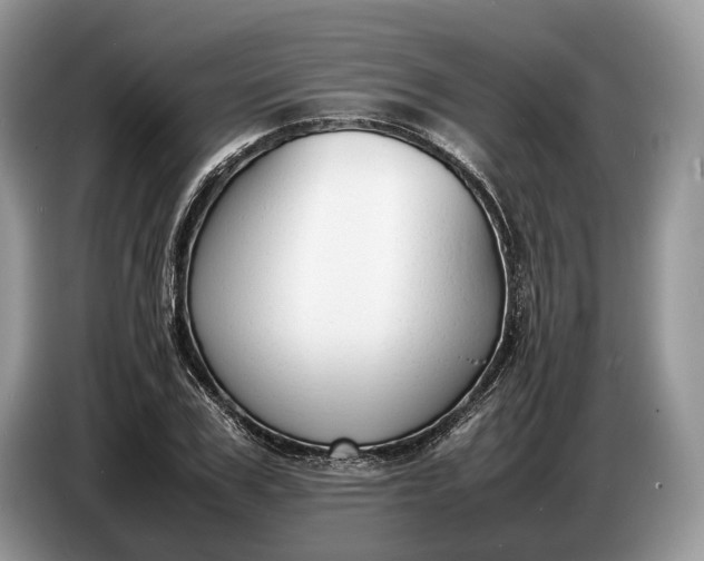X0000086720979200704271607