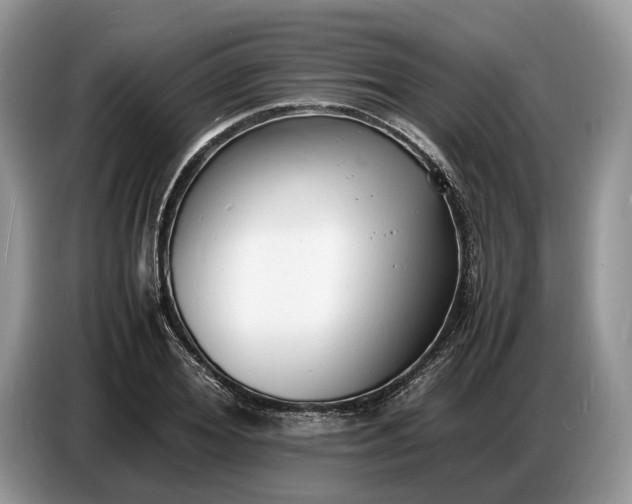 X0000086720980200704271607