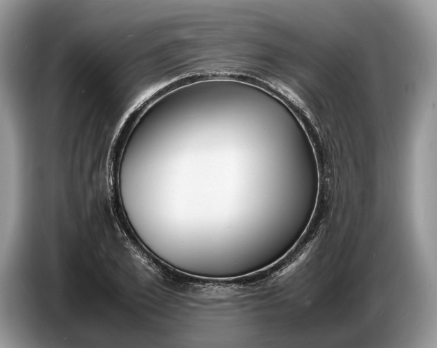 X0000086720981200704271607