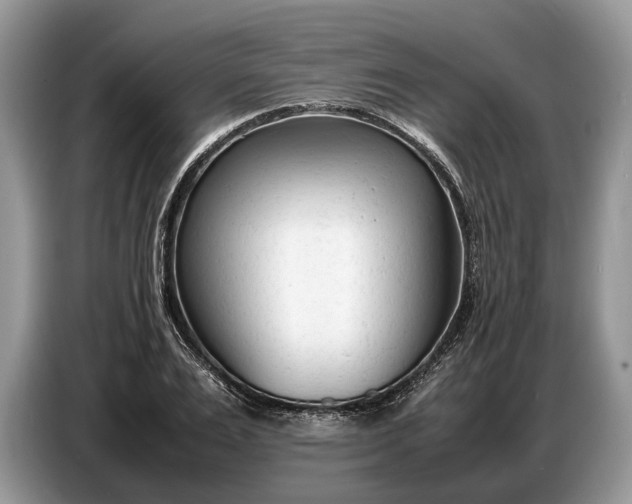 X0000086720983200704271607