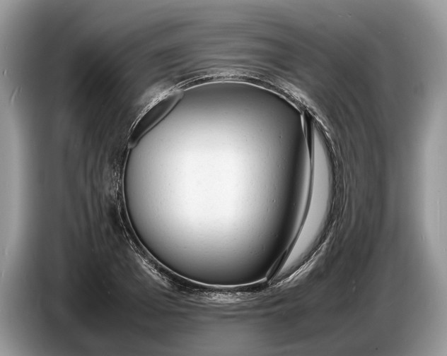 X0000086720985200704271607