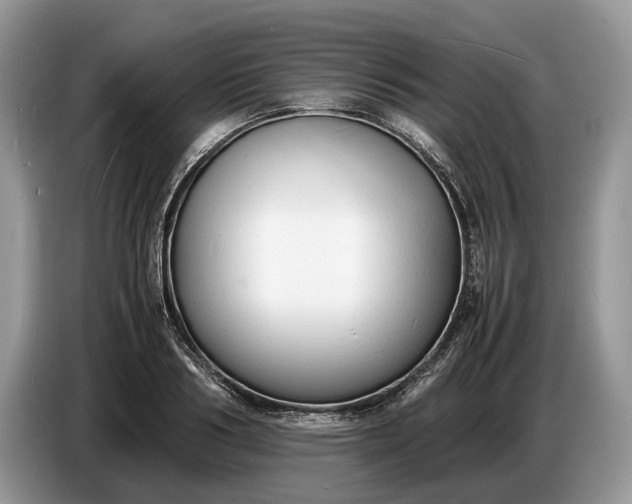 X0000086720986200704271607