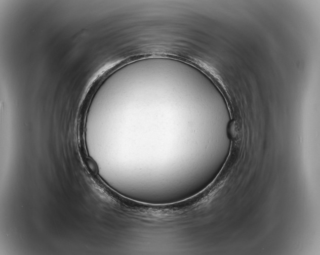 X0000086720987200704271607