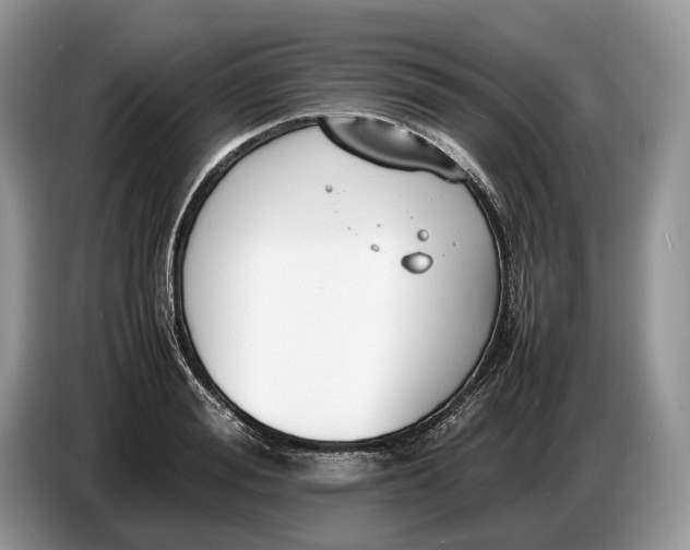 X0000086720988200704271607