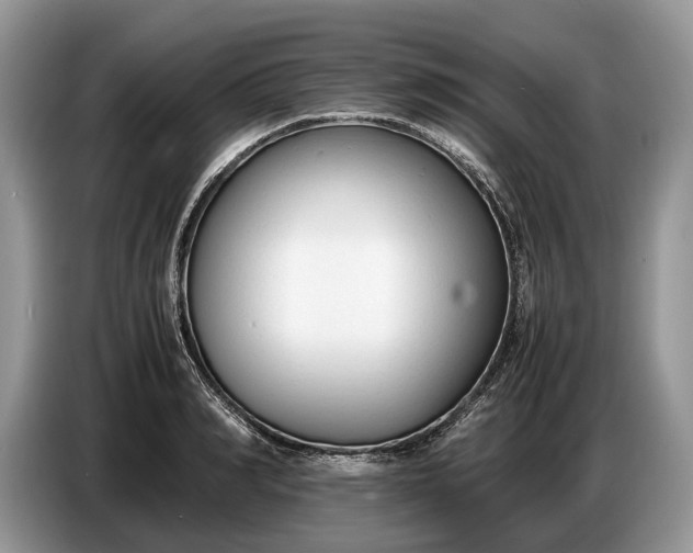X0000086720990200704271607