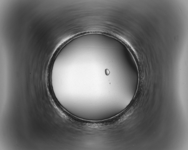 X0000086720991200704271607