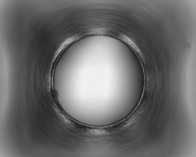 X0000086720994200704271607
