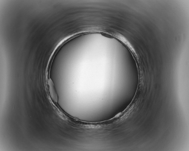 X0000086720996200704271607