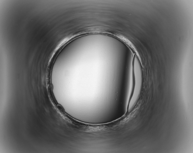 X0000086720997200704271607