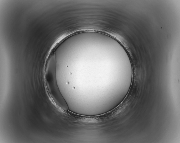 X0000086720998200704271607