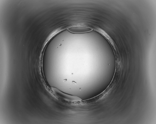 X0000086721002200704271607