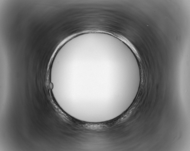 X0000086721004200704271607
