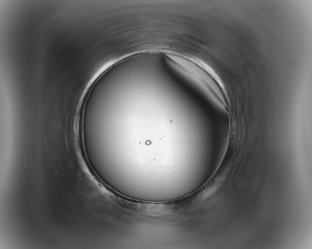X0000086721007200704271607