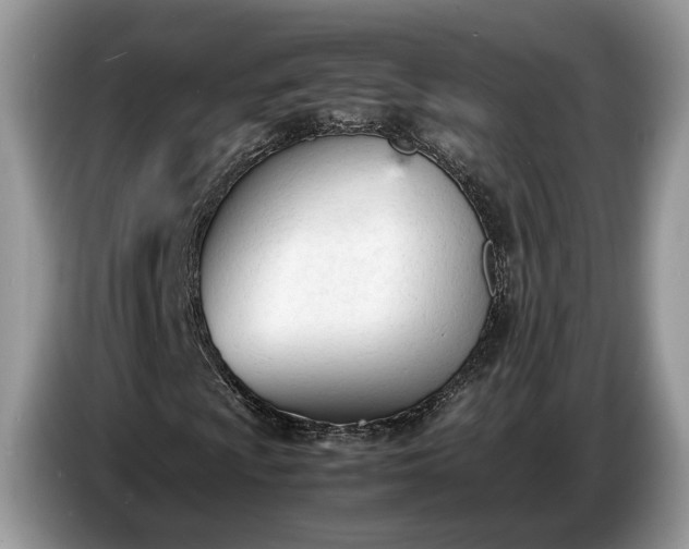 X0000086721009200704271606