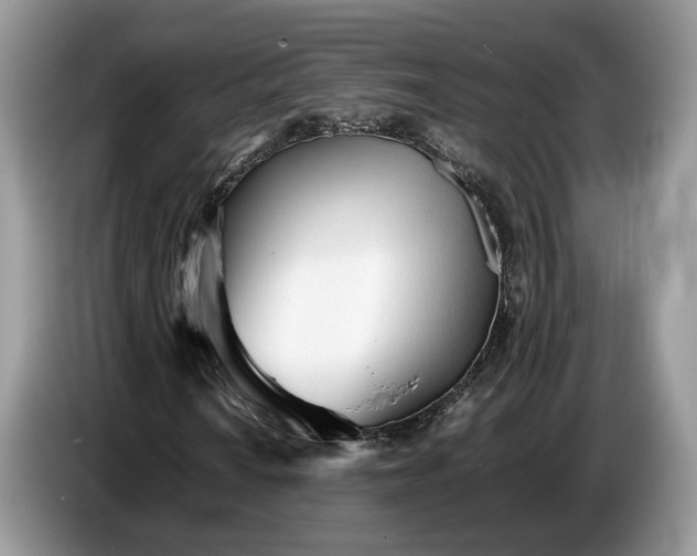 X0000086721010200704271606