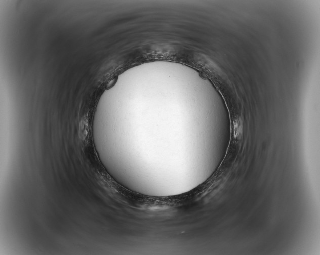 X0000086721011200704271606