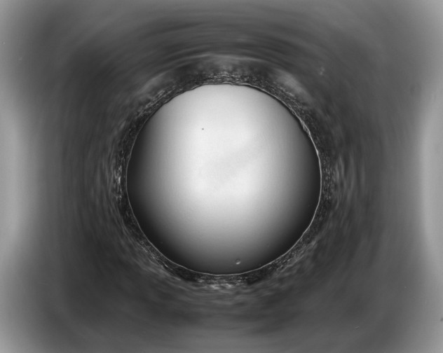 X0000086721013200704271606