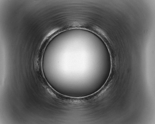 X0000086721018200704271606