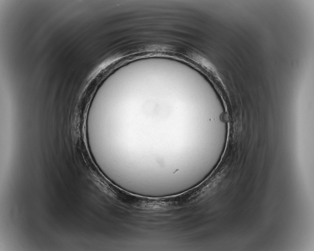 X0000086721019200704271606